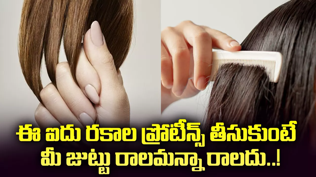 Hair Tips: ఈ ఐదు రకాల ప్రోటీన్స్ తీసుకుంటే  మీ జుట్టు రాలమన్నా రాలదు..!